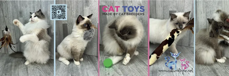 Logo Cat Boutique