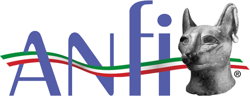 ANFI Logo