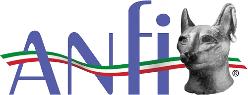 Logo ANFI